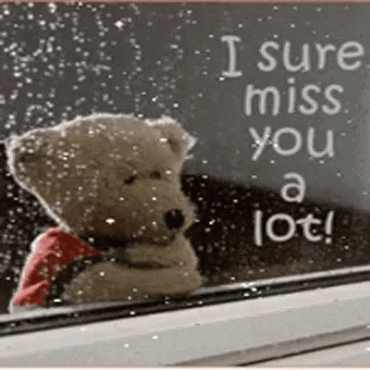 I Miss You So Much GIF by memecandy