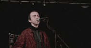 mergerecords cat modelo bob dylan titus GIF