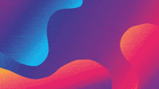Animation Marketing GIF by Flocksy