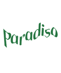 Palm Tree Logo Sticker by Shop 437