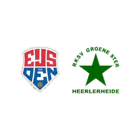 Sport Heerlen Sticker by Groene ster