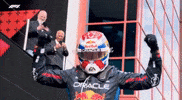 F1 Maxverstappen GIF