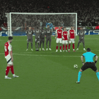 Arsenalmemeinsiders GIF by memes