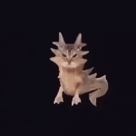 Chinese Cat GIF