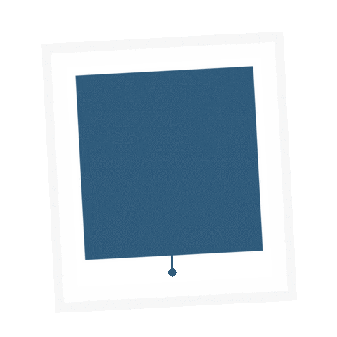 hillarysblinds giphyupload Sticker