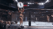 Sport Mma GIF by UFC