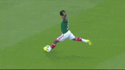 el tri rusia 2018 GIF by MiSelecciónMX