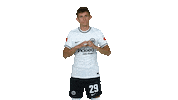 Heart Love Sticker by Eintracht Frankfurt