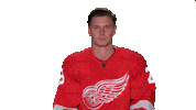 Red Wings Sport Sticker by Detroit Red Wings