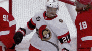 National Hockey League GIF by NHL