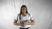 Softball Fastpitch GIF by USSSA Pride