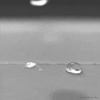 black and white photography GIF