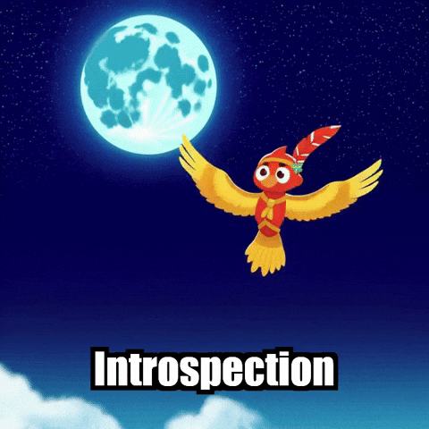 Reflection Wisdom GIF by The Cardinal Virtue