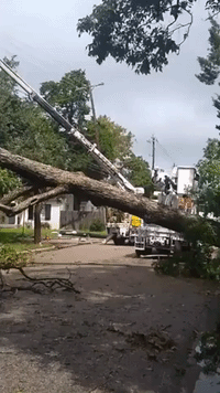 Crews Repair Powerlines After Nicholas Downs Trees in Houston