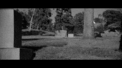 Chris Farren GIF by Polyvinyl Records