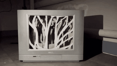 sasha_kobzya giphygifmaker giphygifmakermobile GIF