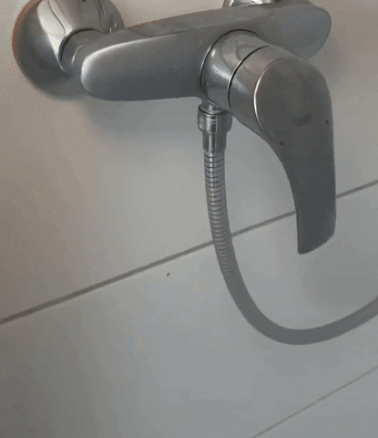 Dishscrubber giphyupload GIF