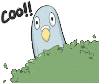Bird Stare Sticker by Jin