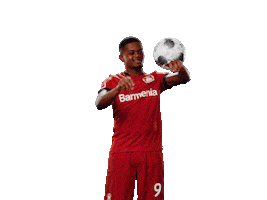 Bayer 04 Ball Sticker by Bayer 04 Leverkusen
