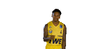Ewe Baskets Sport Sticker by EWE Baskets Oldenburg
