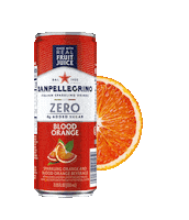 Ladolcevita Sticker by bibitesanpellegrino