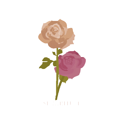 National Red Rose Day Sticker