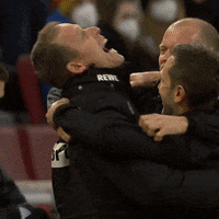 1 Fc Cologne Football GIF by 1. FC Köln