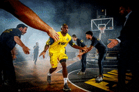 all-star game basketball GIF by EWE Baskets Oldenburg