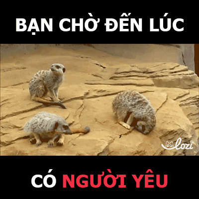 lozico giphyupload lozihn GIF