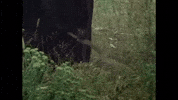 Sneak Attack Rock GIF by Ghost