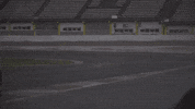 cars racing GIF by ABB Formula E