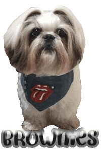 Dog Brownies Sticker