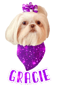 Dog Gracie Sticker