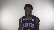 war eagle GIF by Auburn Tigers