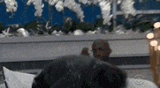 Happy Xavier GIF by Big Brother