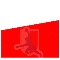 Rukomet Crohandball Sticker by RKPorec
