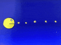 Inhethartvanhethout GIF by Kunstkwartier