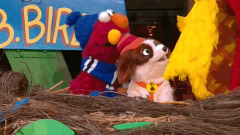 Sesame Street Elmo GIF by The 97th Macy’s Thanksgiving Day Parade