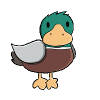 luise-glss animal duck album ente Sticker