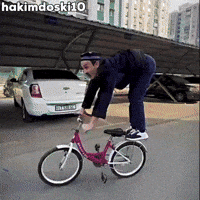 Husky Dog Laughing GIF