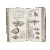 Vintage Book Sticker