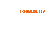 safrasul tecnologia sementes pasto pastagem Sticker