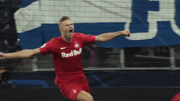 Erling Haaland Celebrating GIF by FC Red Bull Salzburg