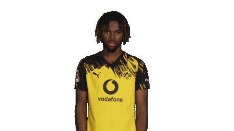 Borussia Dortmund Chukwuemeka Sticker by Bundesliga