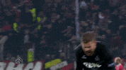 football soccer GIF by 1. FC Köln