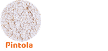 Pintola fitness butter peanut whey Sticker