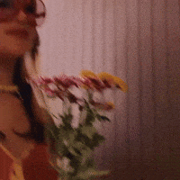 Flowers Laufey GIF by Respective
