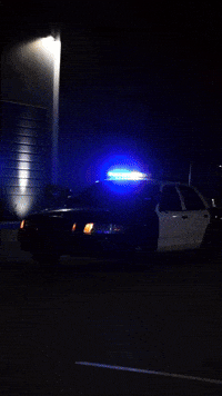 Ford Crown Vic GIF