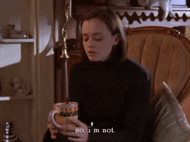 season 4 netflix GIF by Gilmore Girls 