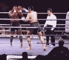 boxing wtf GIF
